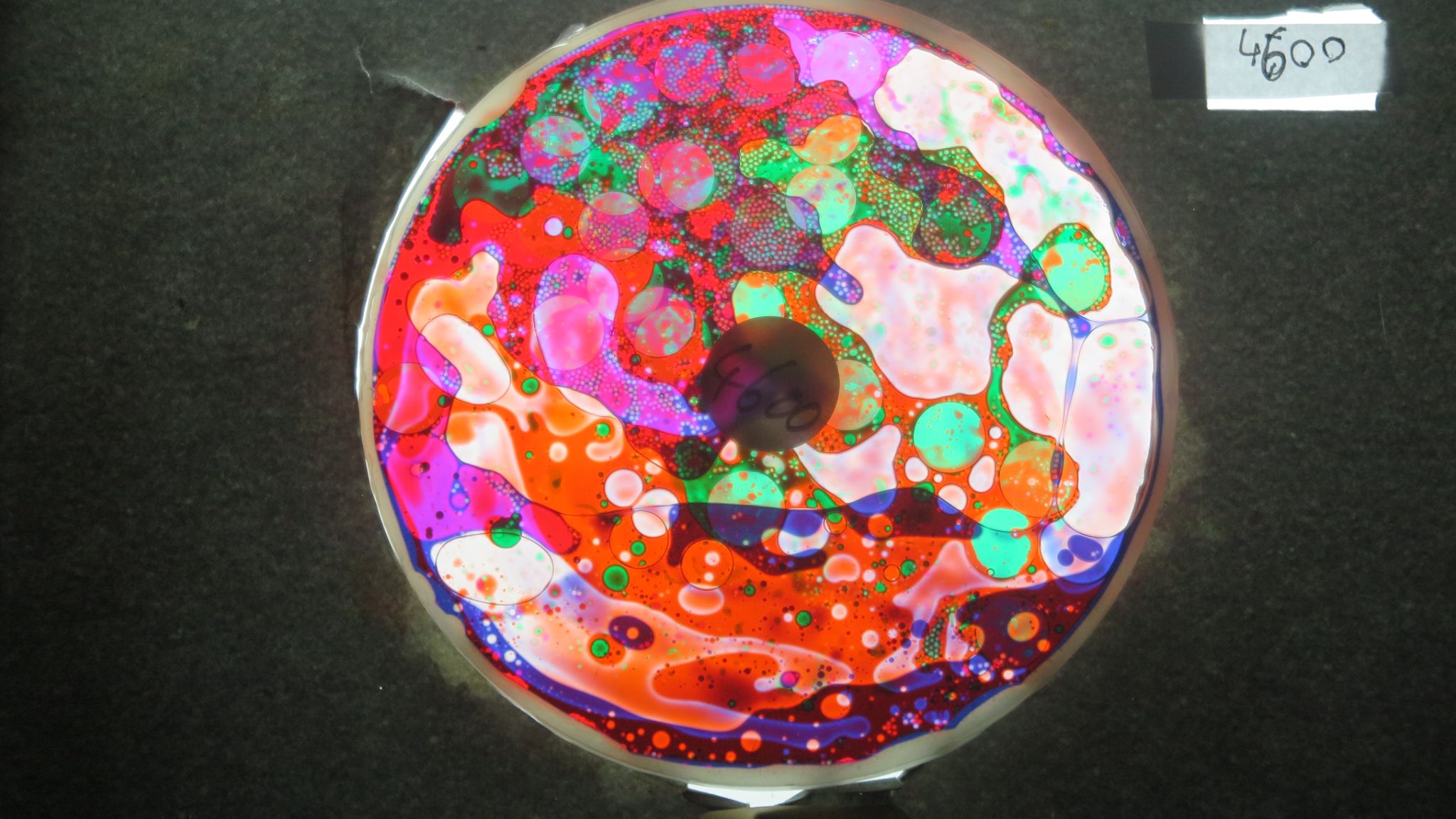 BV4600 bubble vision oil wheel